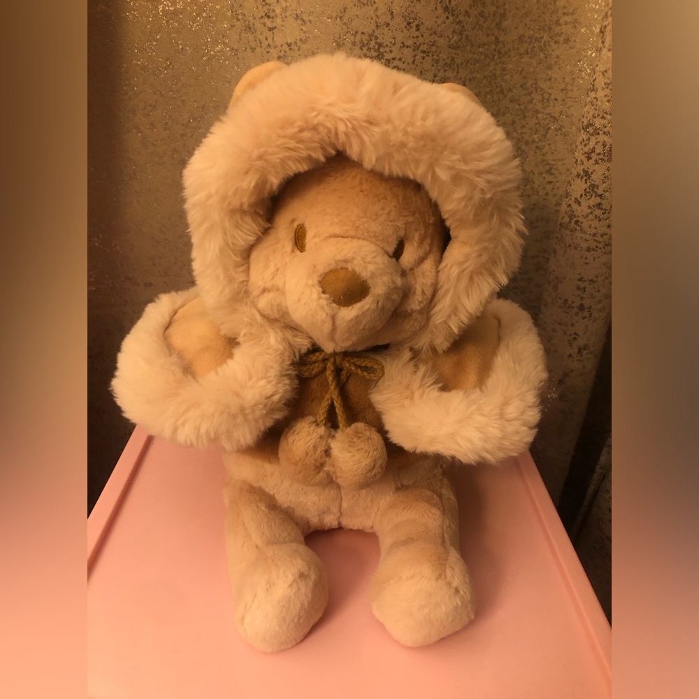 Tokyo Disney Resort 2022 Winter Season Limited Edition the Pooh "Milk Tea"Plush